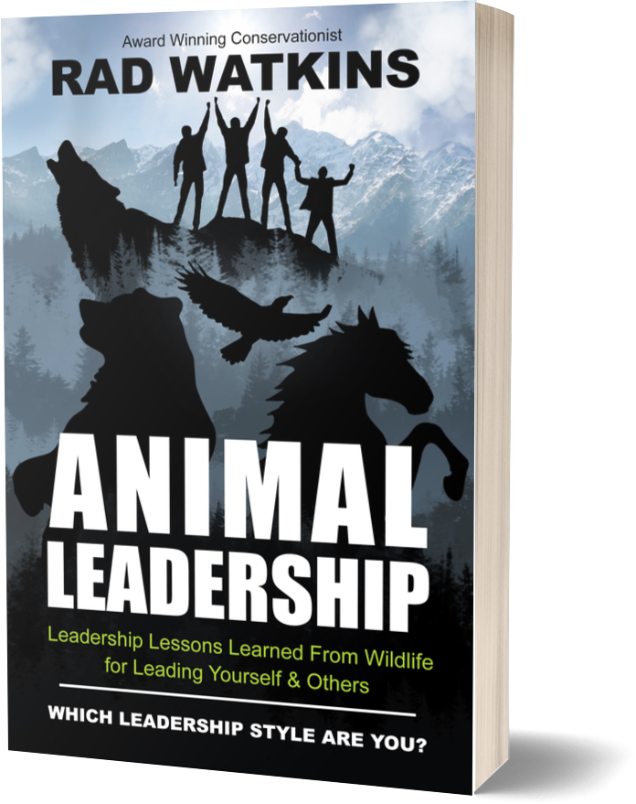 Animal Leadership book